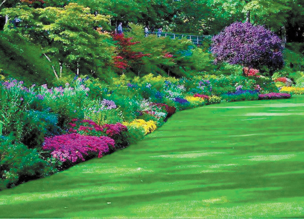 Yard and Garden: Properly Treating Lawns In Fall for Spring Results