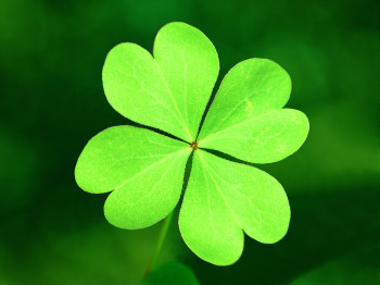 Irish Blessings in honor of St. Patrick’s Day