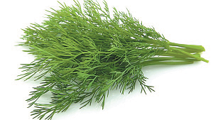 dill