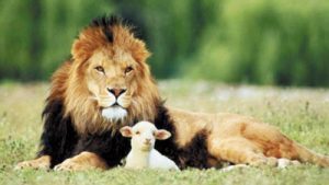 In Like a Lion and Out Like a Lamb and Celebrating Strong but Gentle Women Every Day In Between
