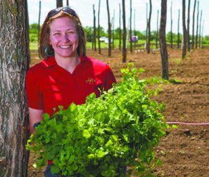 Horticulture Focus of Fruit and Vegetable Field Day Aug. 7