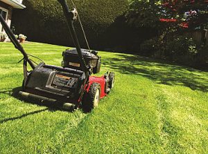 Improve Lawn Care with Turfgrass Management Calendar